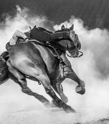 LES CHEVAUX